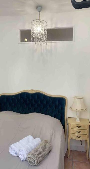 Magnifique Appartement Plein Coeur Avignon Intra-Muros Eksteriør billede